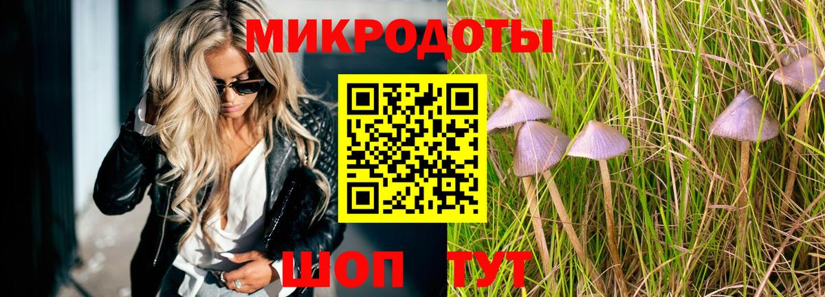 Псилоцибиновые грибы мухоморы Нововоронеж