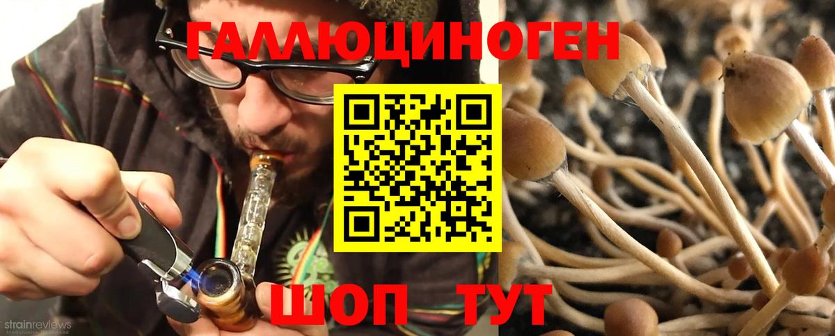 Галлюциногенные грибы мухоморы  Вход с VPN  Нововоронеж 